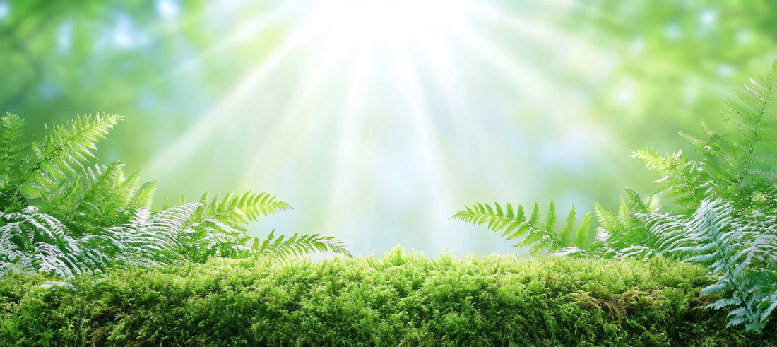 🌿 Le fil de polyester ciré et ma démarche durable